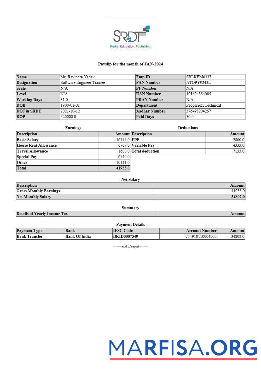 Printable SRDT media, education, publishing payslip example